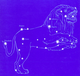 lion stars